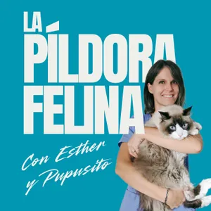 Portada del podcast, La Píldora Felina